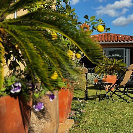 Villa Mihaela Fažana エクステリア 写真